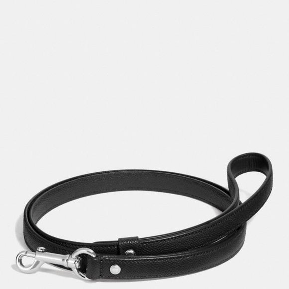 coach dog collar small